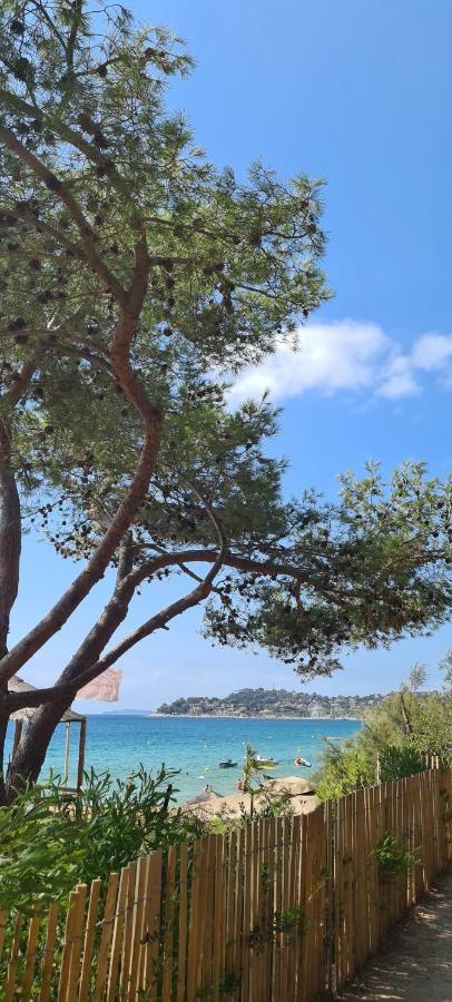 Le Tamaya Plage Charmant T2 En Rez De Jardin A 2 Pas D Une Belle Plage De Toutes Commodites Et Centre Ville Port Cavalaire-sur-Mer Extérieur photo
